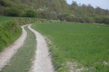 Le chemin